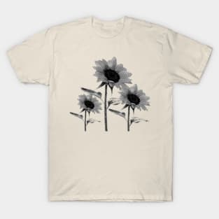 Sunflower Black and White T-Shirt